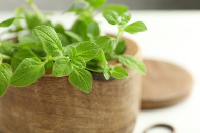 Photo of Sprigs of fresh green oregano in bowl on white table, closeup