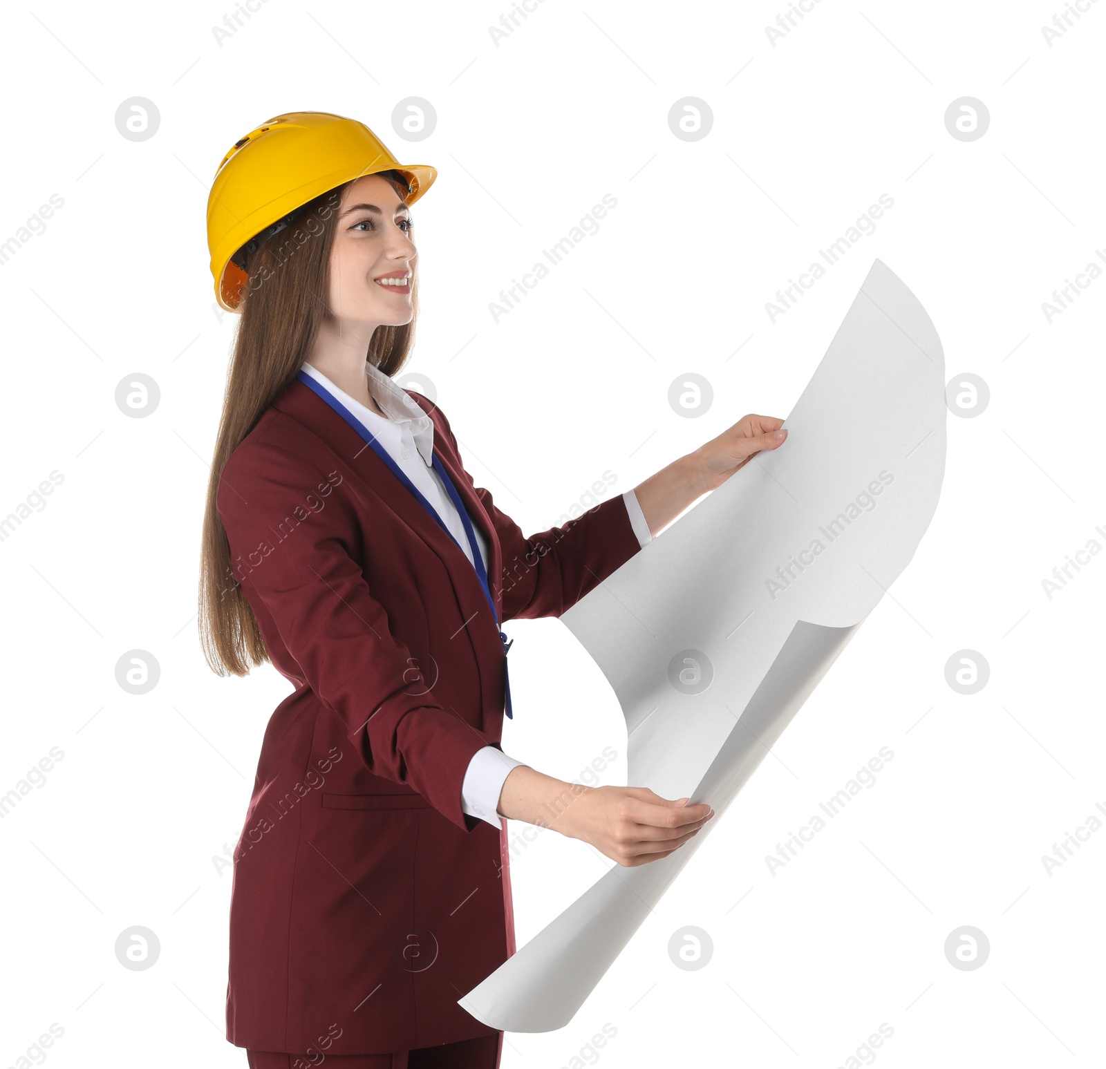 Photo of Engineer in hard hat with draft on white background