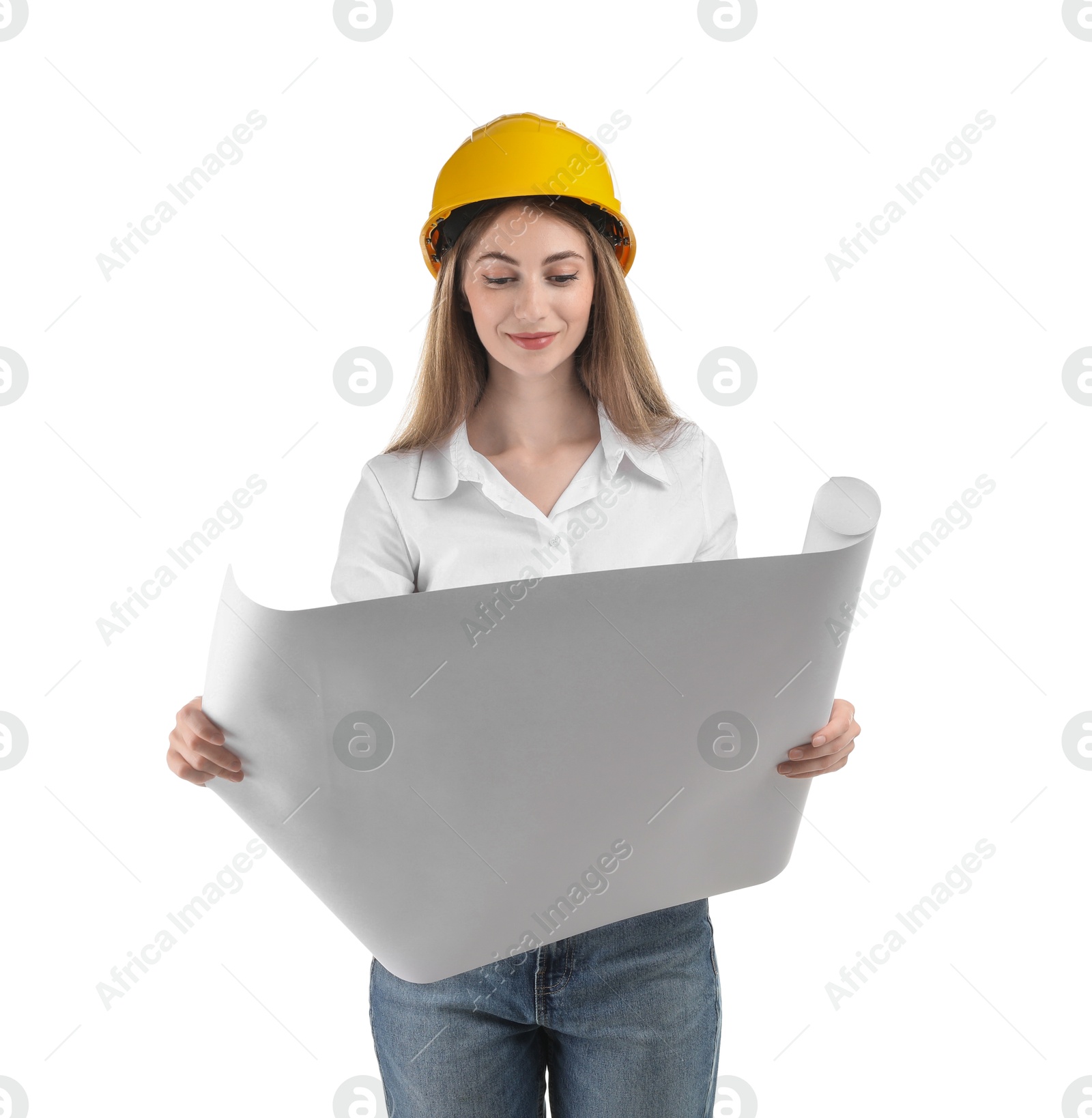 Photo of Engineer in hard hat with draft on white background