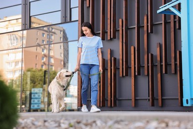 Photo of Happy owner walking with cute Golden Retriever dog outdoors, low angle view