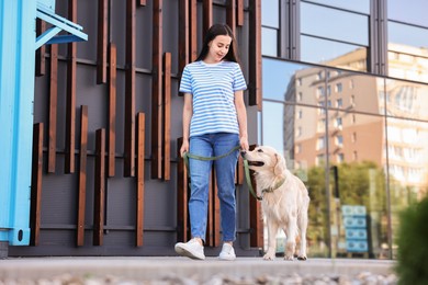 Photo of Happy owner walking with cute Golden Retriever dog outdoors, low angle view