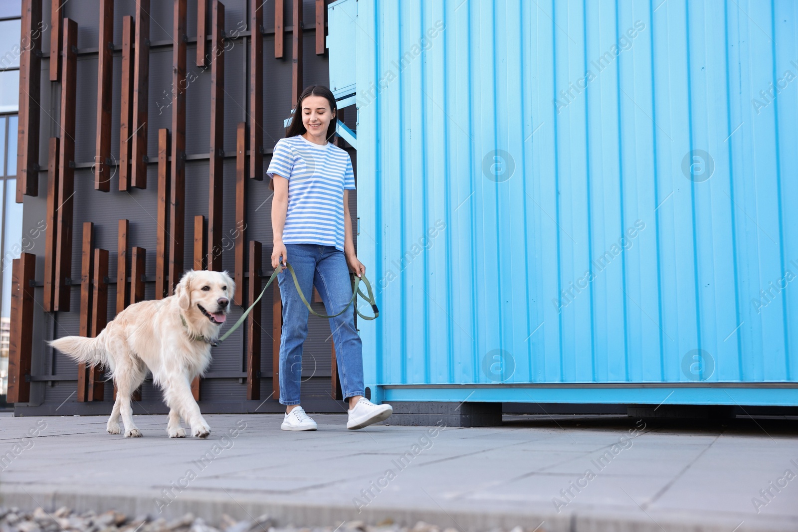 Photo of Happy owner walking with cute Golden Retriever dog outdoors, low angle view. Space for text