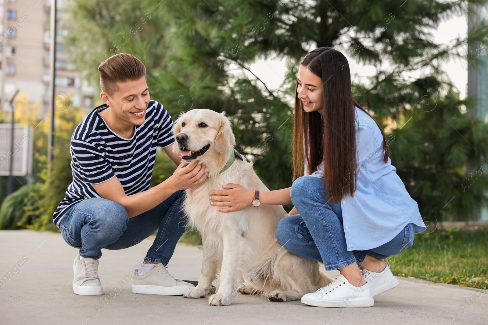 Photo of Happy couple with cute Golden Retriever dog outdoors