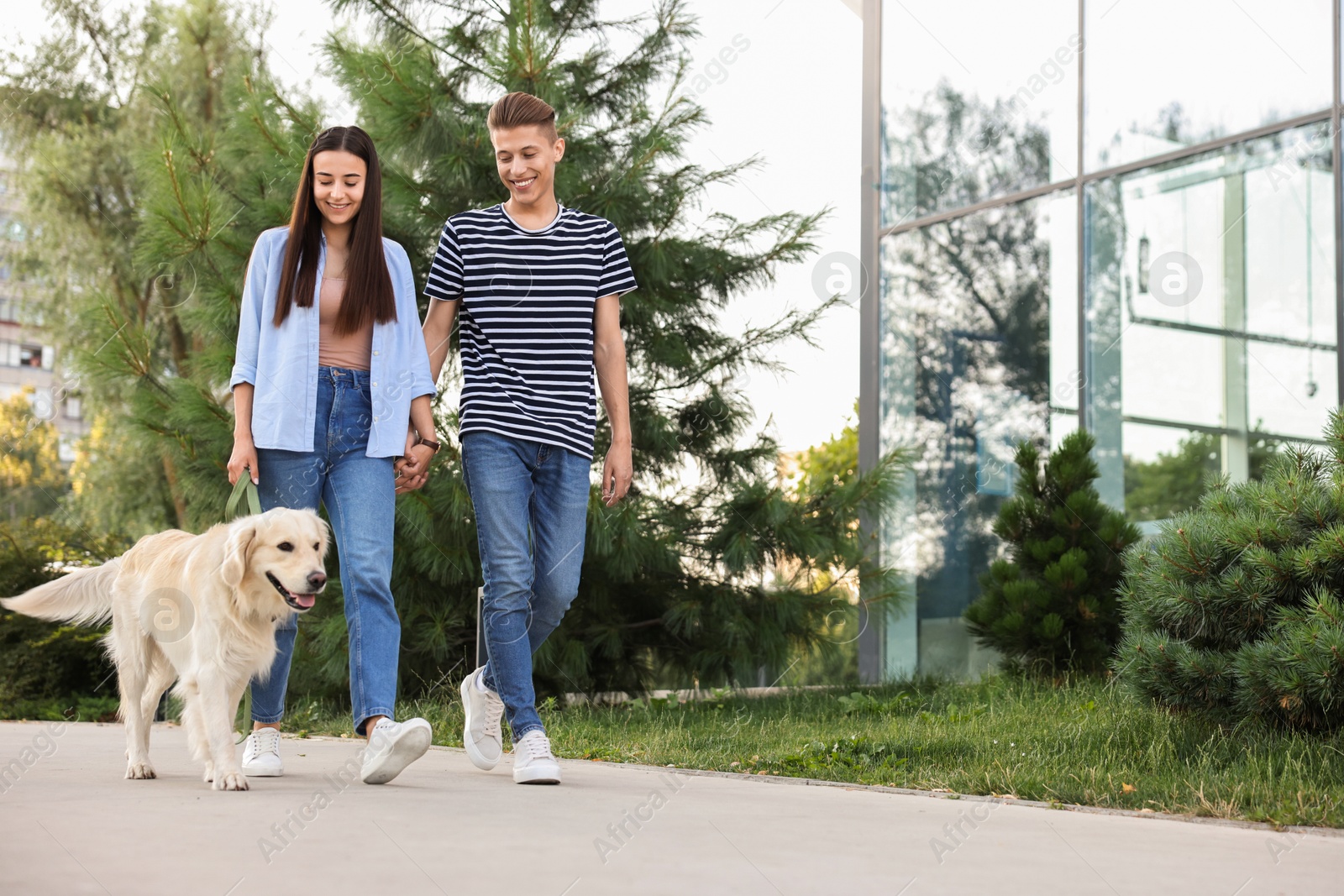 Photo of Happy couple walking with cute Golden Retriever dog outdoors, low angle view. Space for text