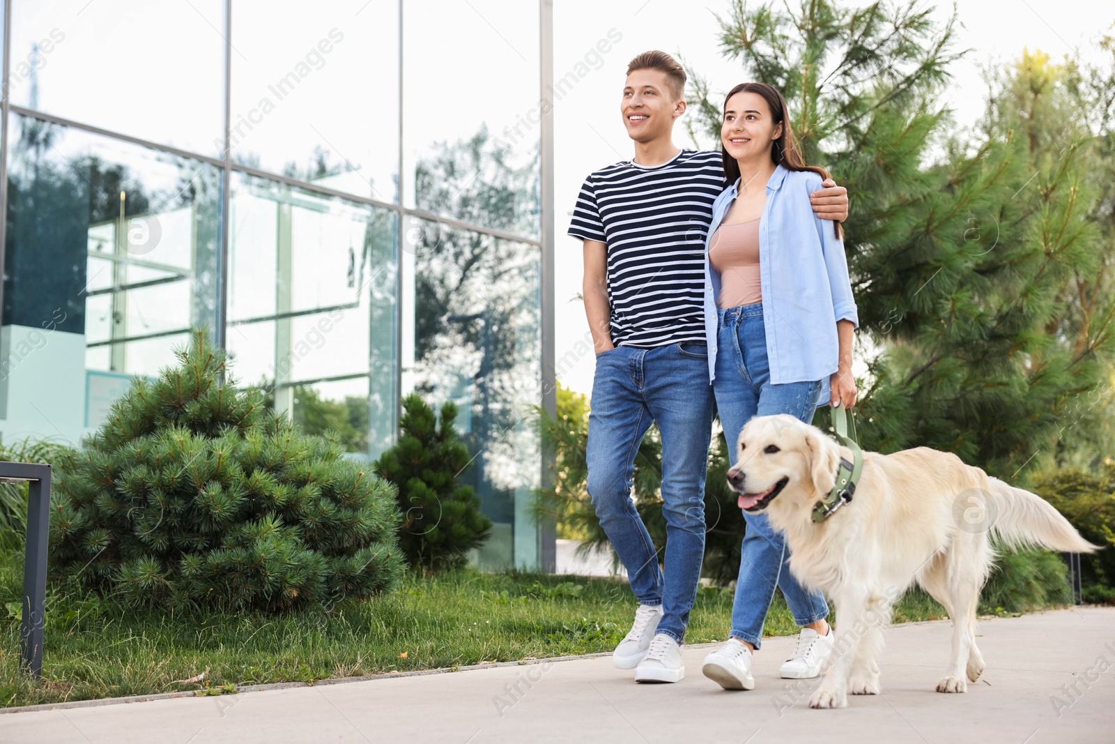 Photo of Happy couple walking with cute Golden Retriever dog outdoors, low angle view. Space for text