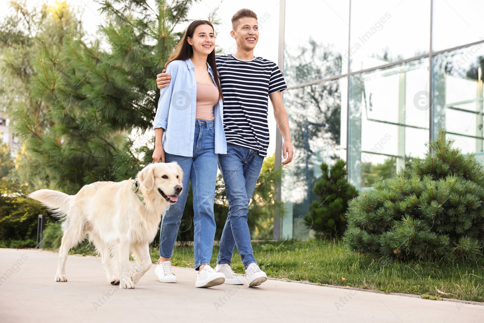 Photo of Happy couple walking with cute Golden Retriever dog outdoors, low angle view