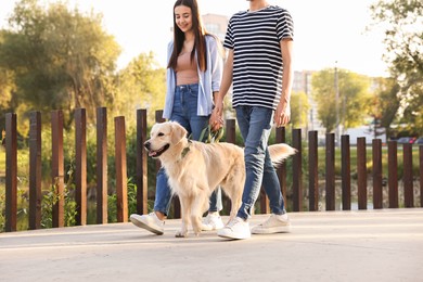 Couple walking with cute Golden Retriever dog outdoors, closeup