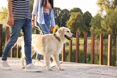 Couple walking with cute Golden Retriever dog outdoors, closeup. Space for text