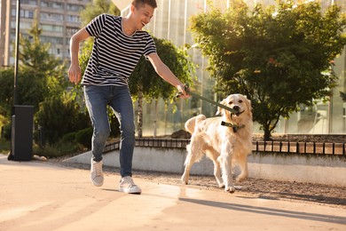 Happy owner playing with cute Golden Retriever dog outdoors on sunny day