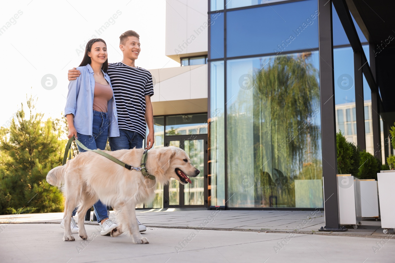 Photo of Happy couple walking with cute Golden Retriever dog outdoors, low angle view. Space for text