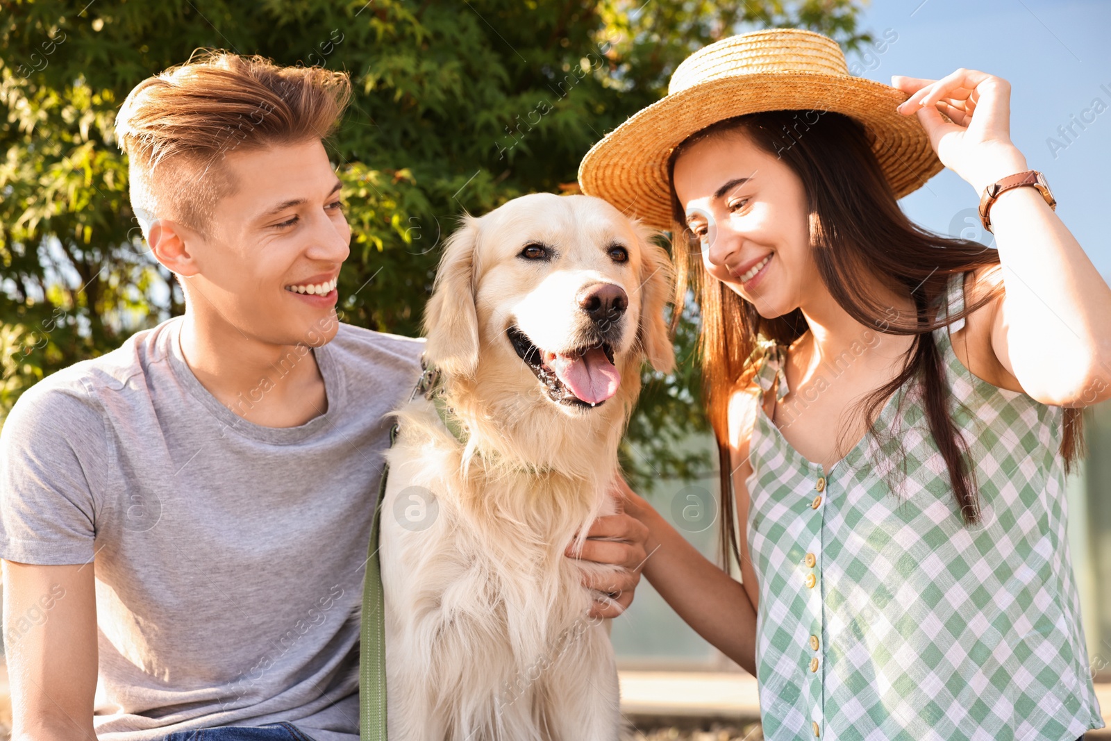 Photo of Happy couple with cute Golden Retriever dog outdoors on sunny day