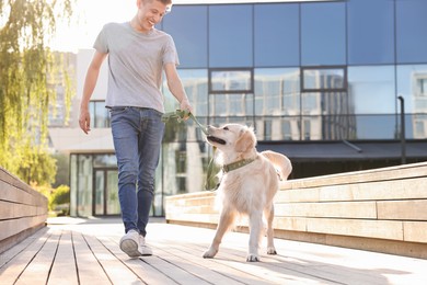 Photo of Happy owner playing with cute Golden Retriever dog outdoors on sunny day, low angle view