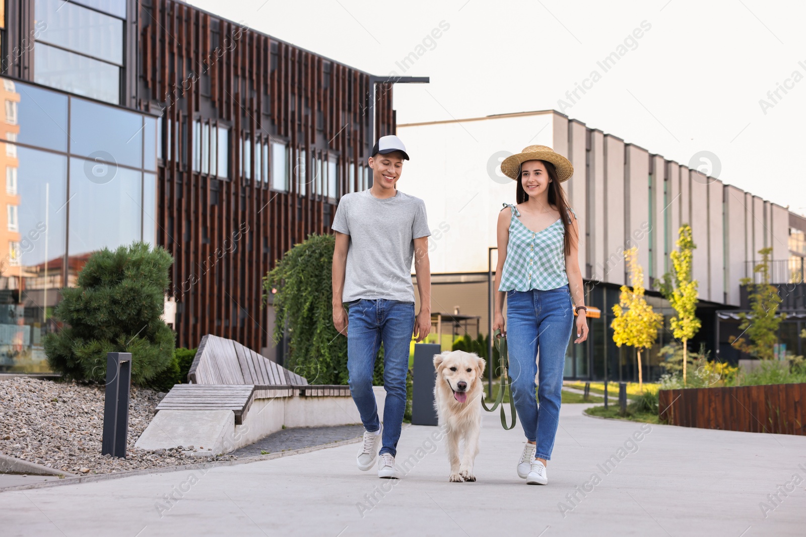 Photo of Happy couple walking with cute Golden Retriever dog outdoors