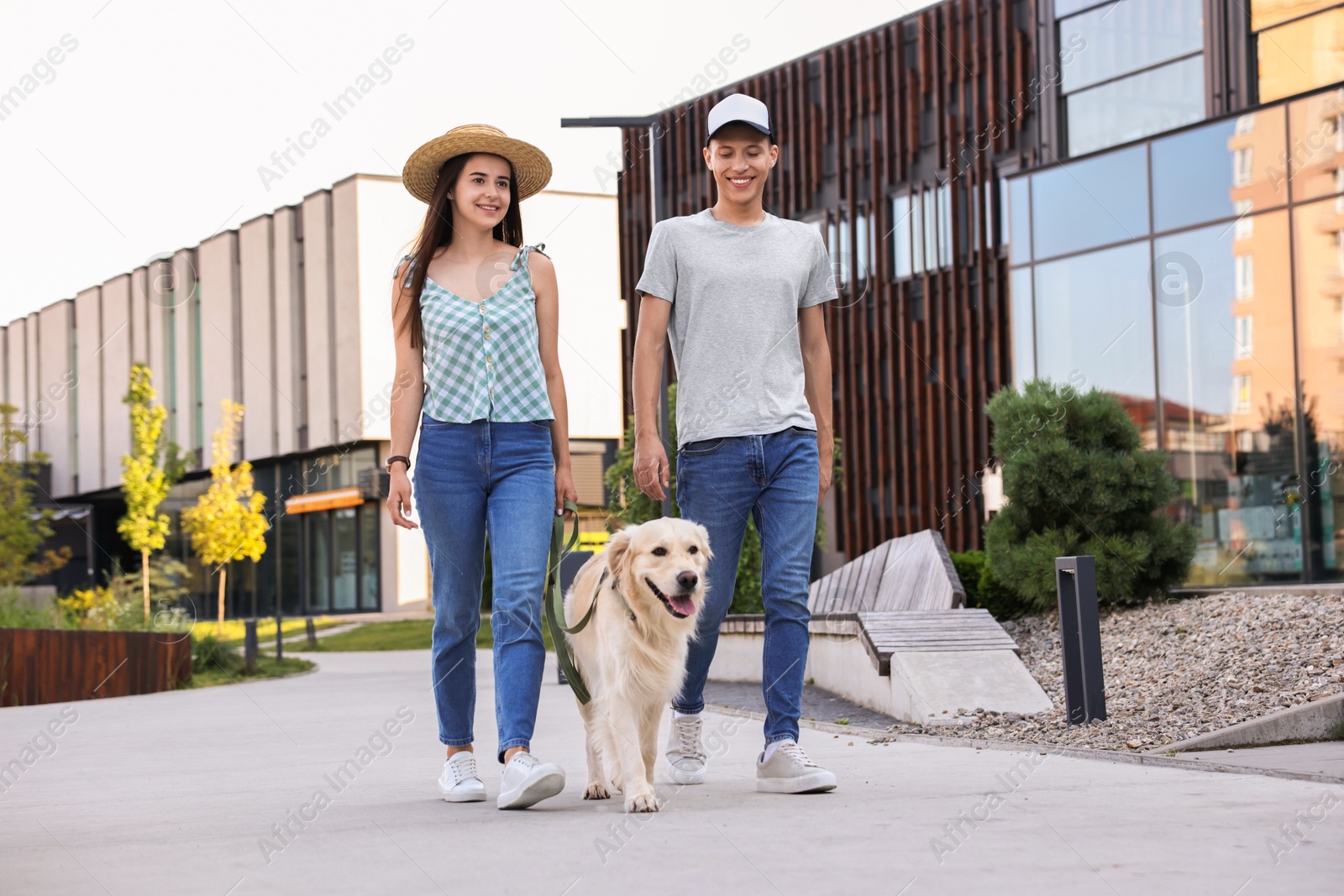 Photo of Happy couple walking with cute Golden Retriever dog outdoors