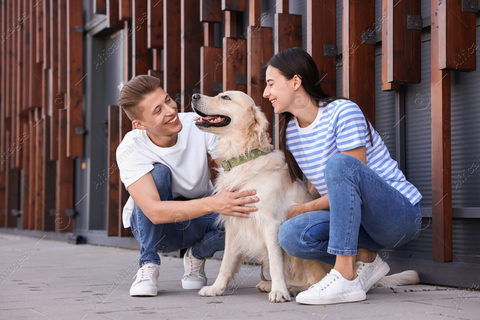 Photo of Happy couple stroking cute Golden Retriever dog outdoors