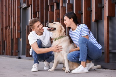 Happy couple stroking cute Golden Retriever dog outdoors