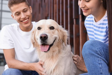 Photo of Happy couple with cute Golden Retriever dog outdoors, closeup