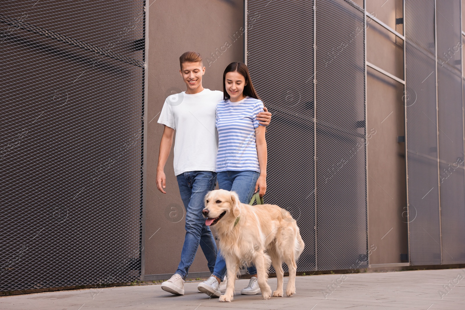 Photo of Happy couple walking with cute Golden Retriever dog outdoors, low angle view