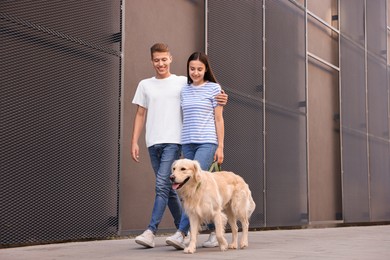 Happy couple walking with cute Golden Retriever dog outdoors, low angle view