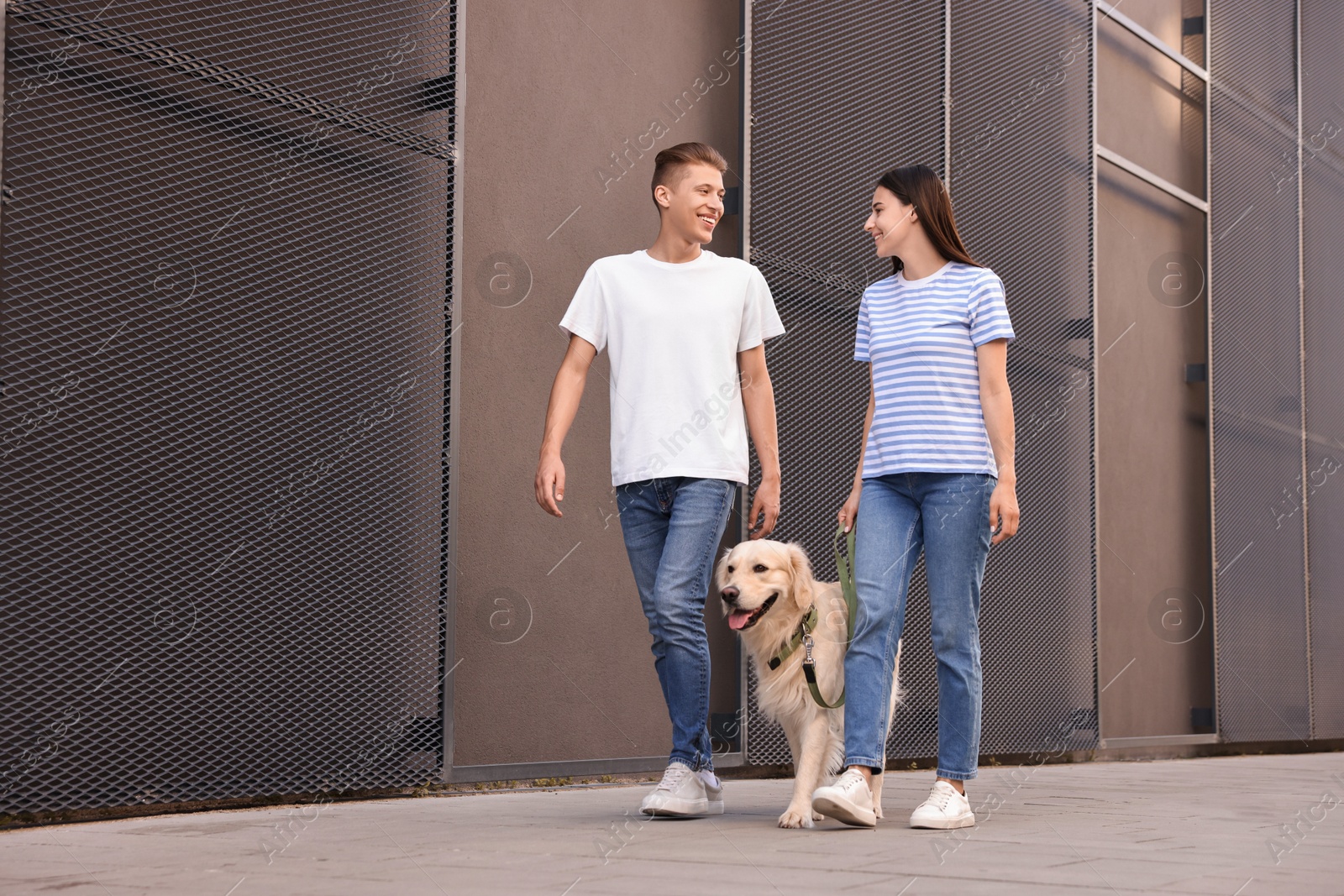 Photo of Happy couple walking with cute Golden Retriever dog outdoors, low angle view