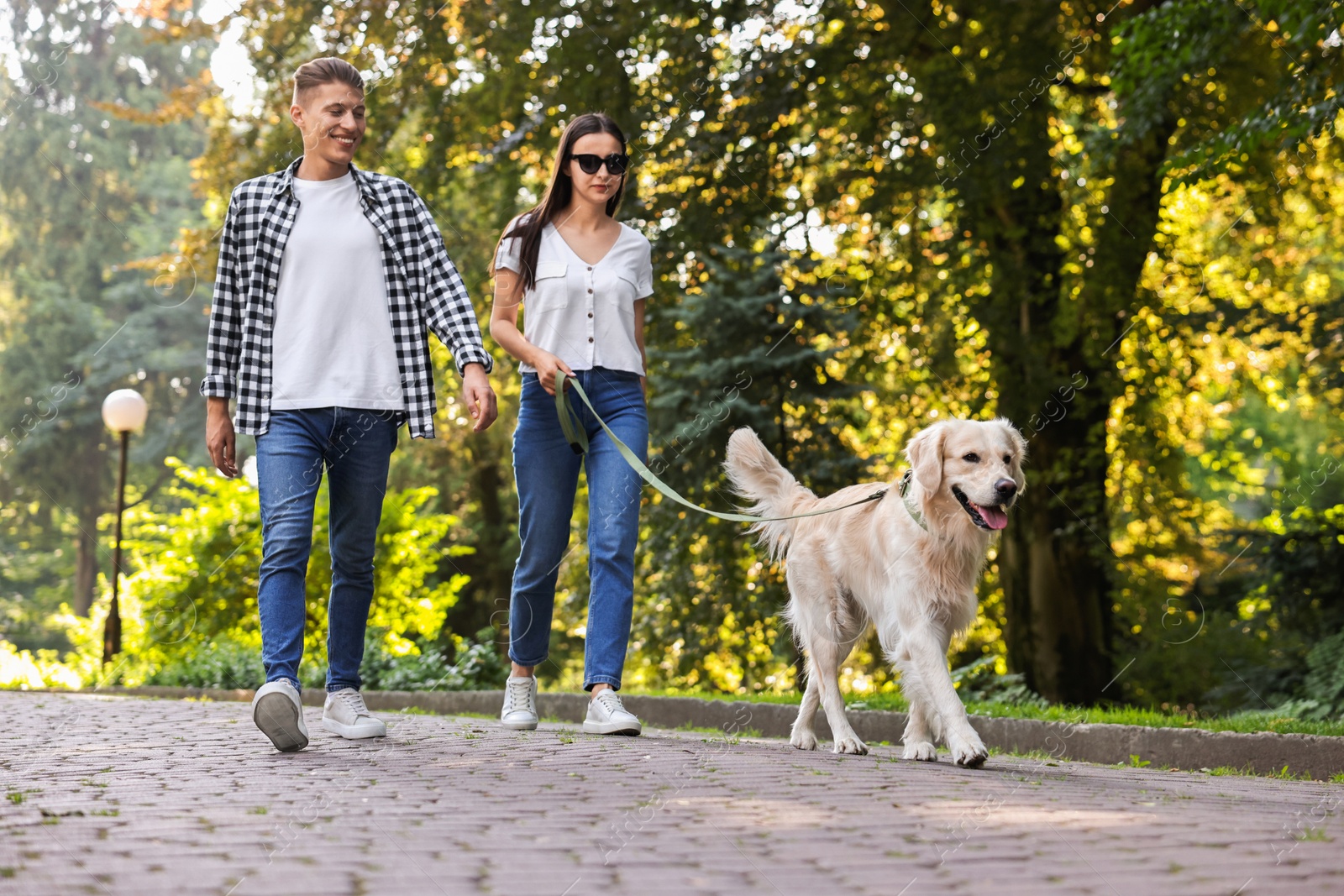 Photo of Happy couple walking with cute Golden Retriever dog in park, low angle view