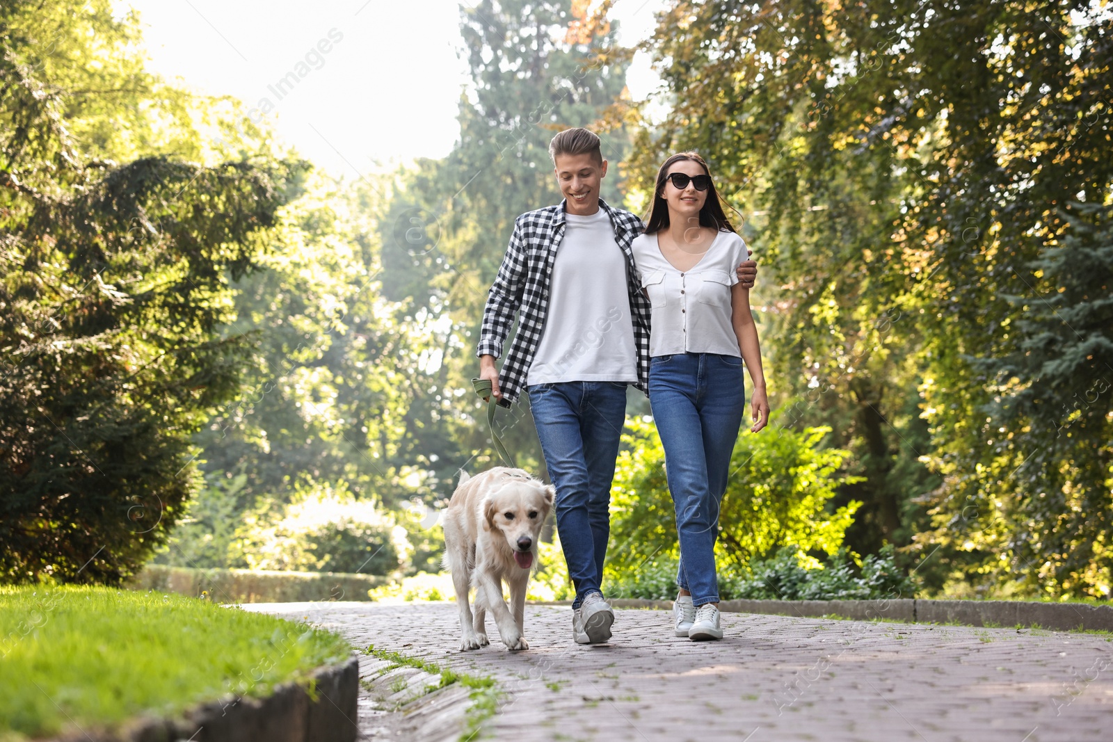 Photo of Happy couple walking with cute Golden Retriever dog in park, low angle view