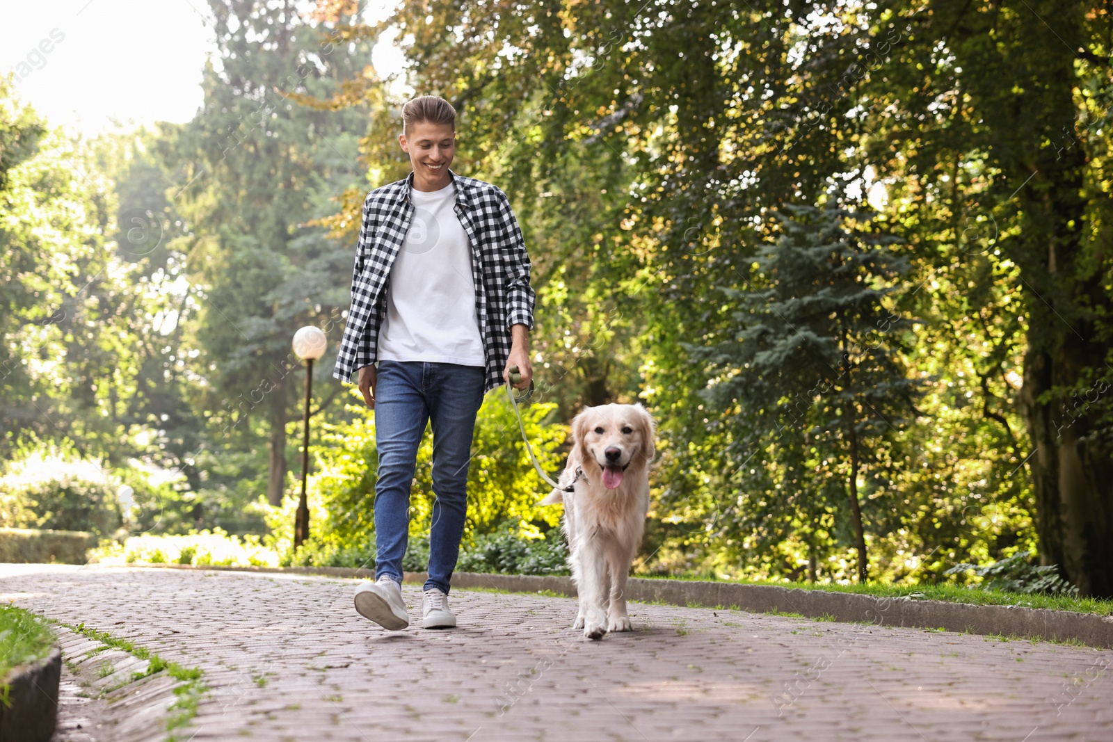 Photo of Happy owner walking with cute Golden Retriever dog outdoors, low angle view