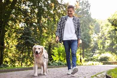 Photo of Happy owner walking with cute Golden Retriever dog outdoors, low angle view