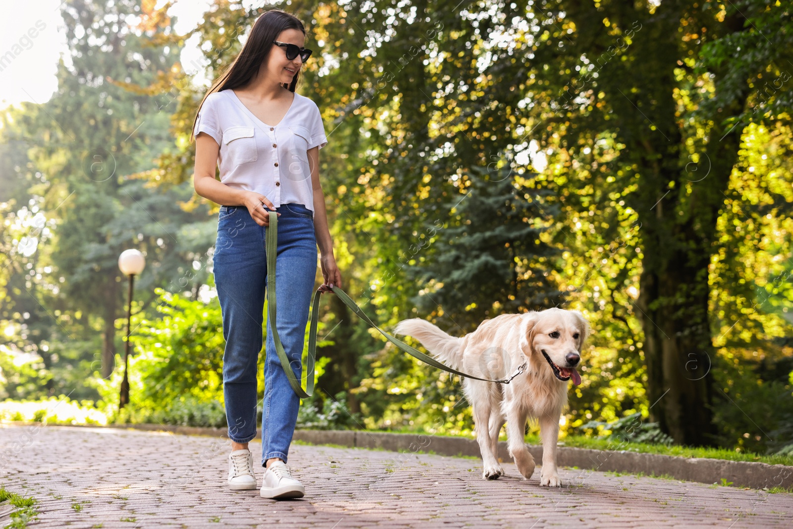 Photo of Happy owner walking with cute Golden Retriever dog outdoors, low angle view