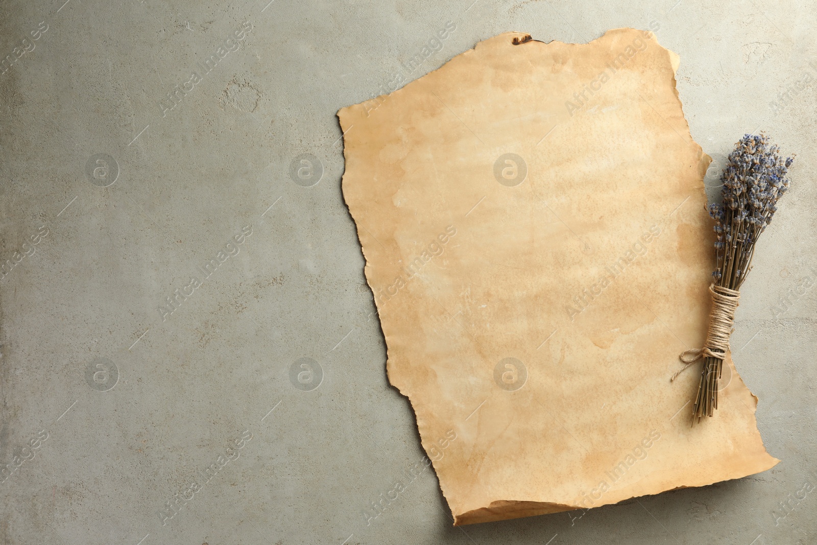 Photo of Sheet of old parchment paper and lavender flowers on grey table, top view. Space for text