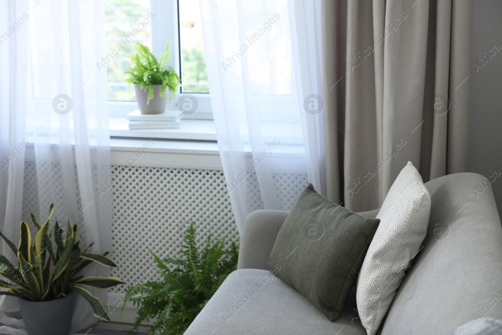 Photo of Comfortable sofa, houseplants and elegant curtain in living room, closeup. Interior design