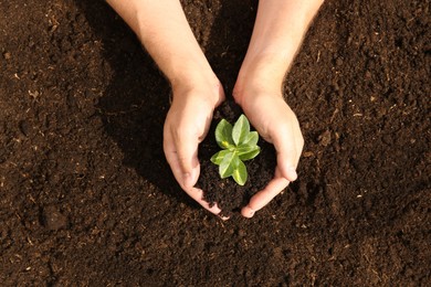 Woman holding seedling with soil outdoors, top view