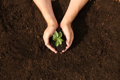 Woman holding seedling with soil outdoors, top view