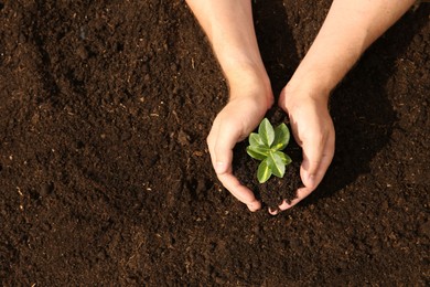 Photo of Woman holding seedling with soil outdoors, top view. Space for text