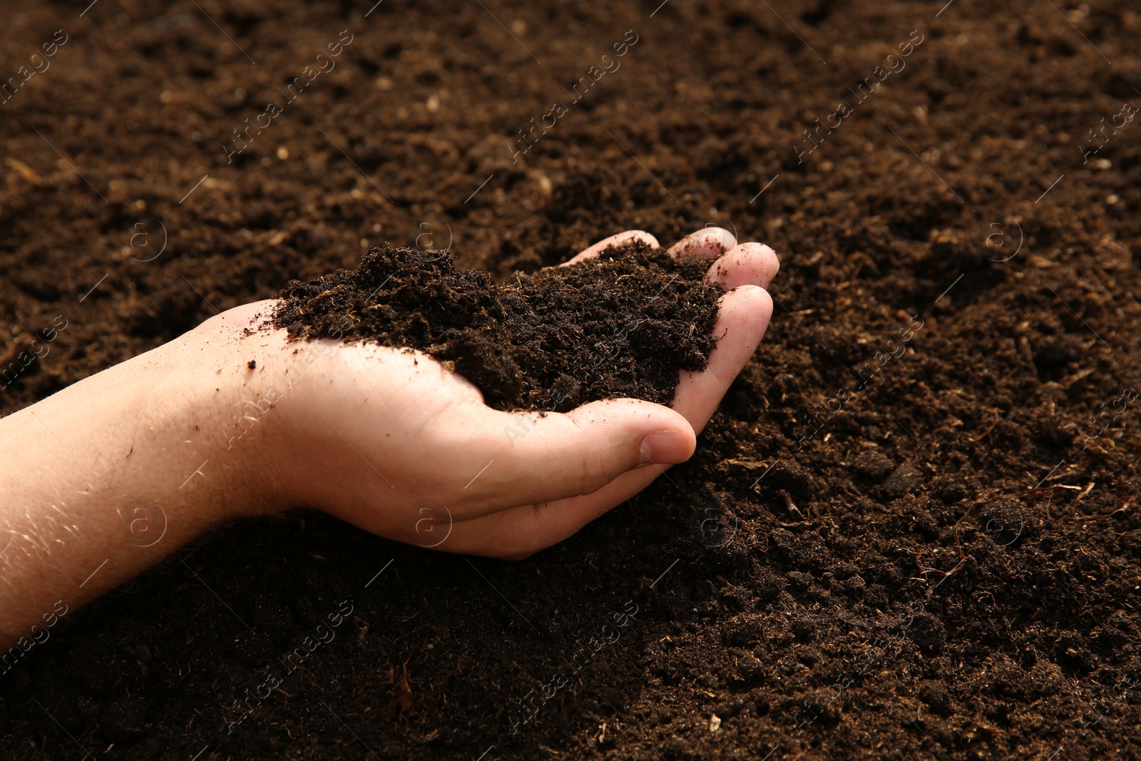 Photo of Woman holding pile of soil outdoors, closeup