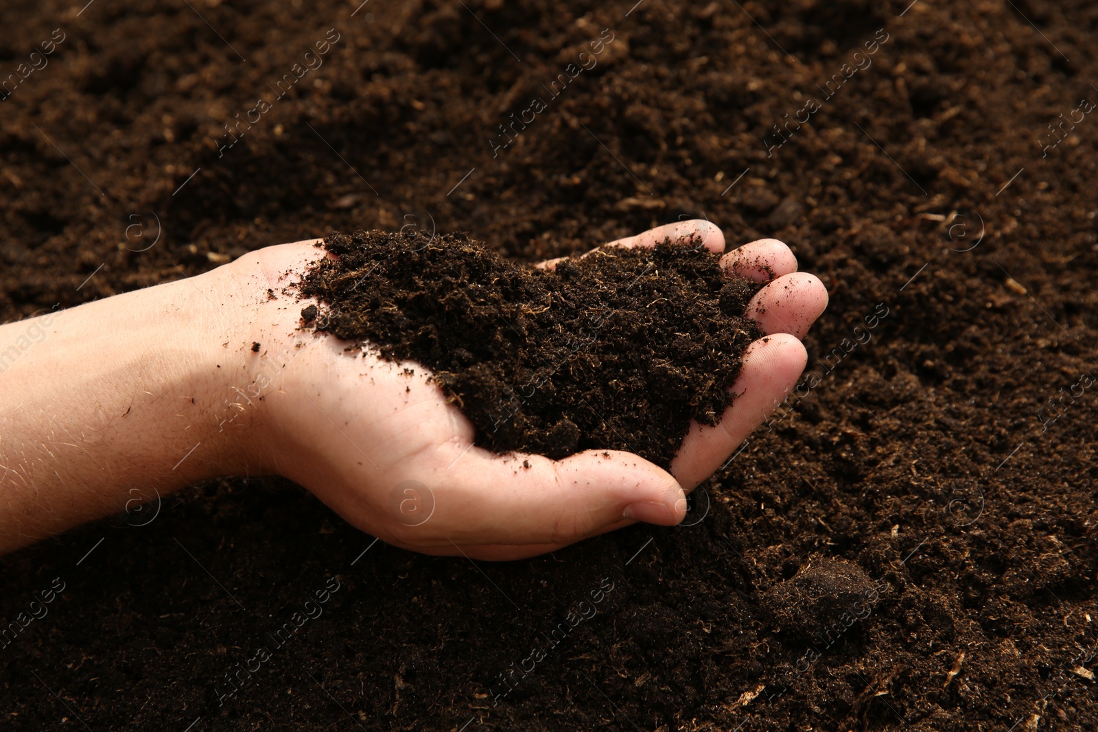 Photo of Woman holding pile of soil outdoors, closeup