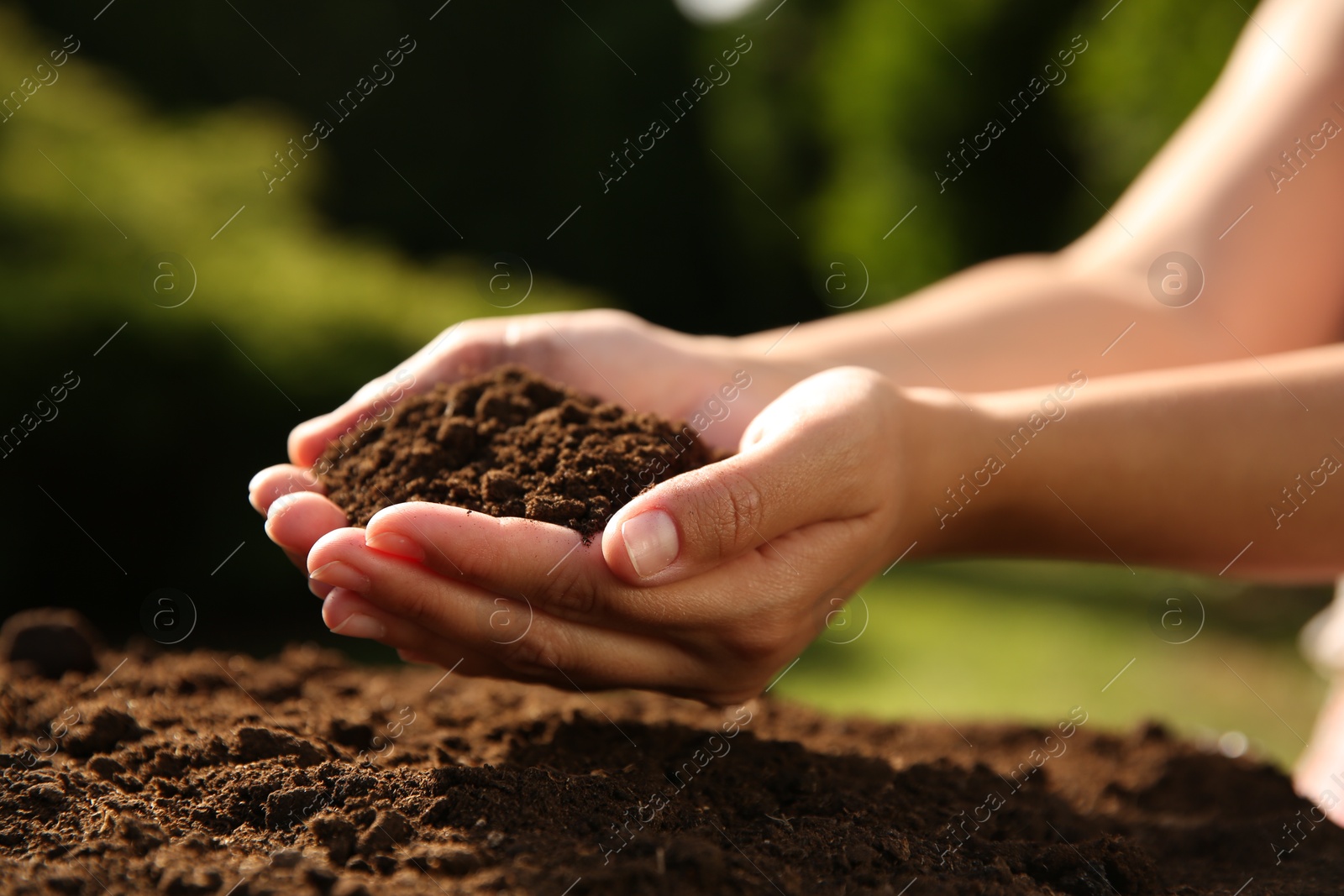 Photo of Woman holding pile of soil outdoors, closeup