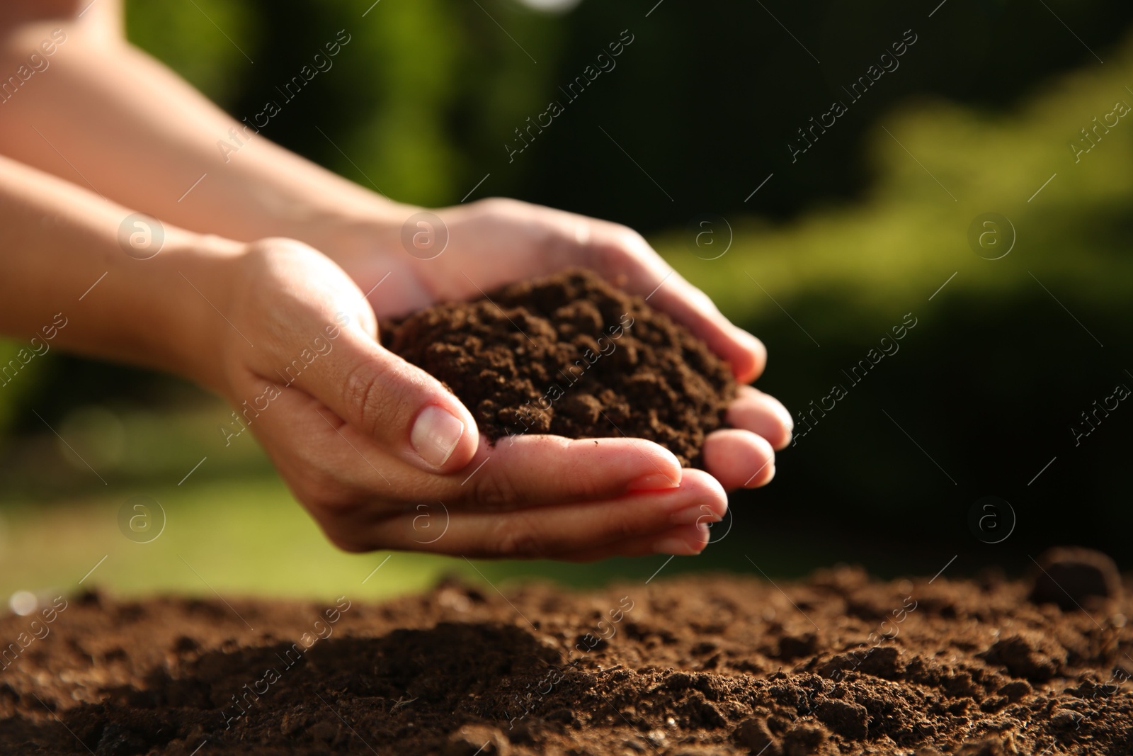 Photo of Woman holding pile of soil outdoors, closeup. Space for text