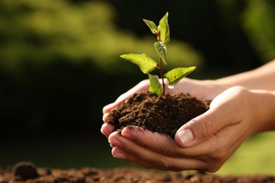 Woman holding seedling with soil outdoors, closeup. Space for text