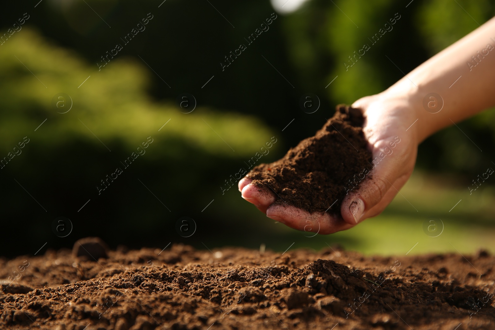 Photo of Woman holding pile of soil outdoors, closeup. Space for text