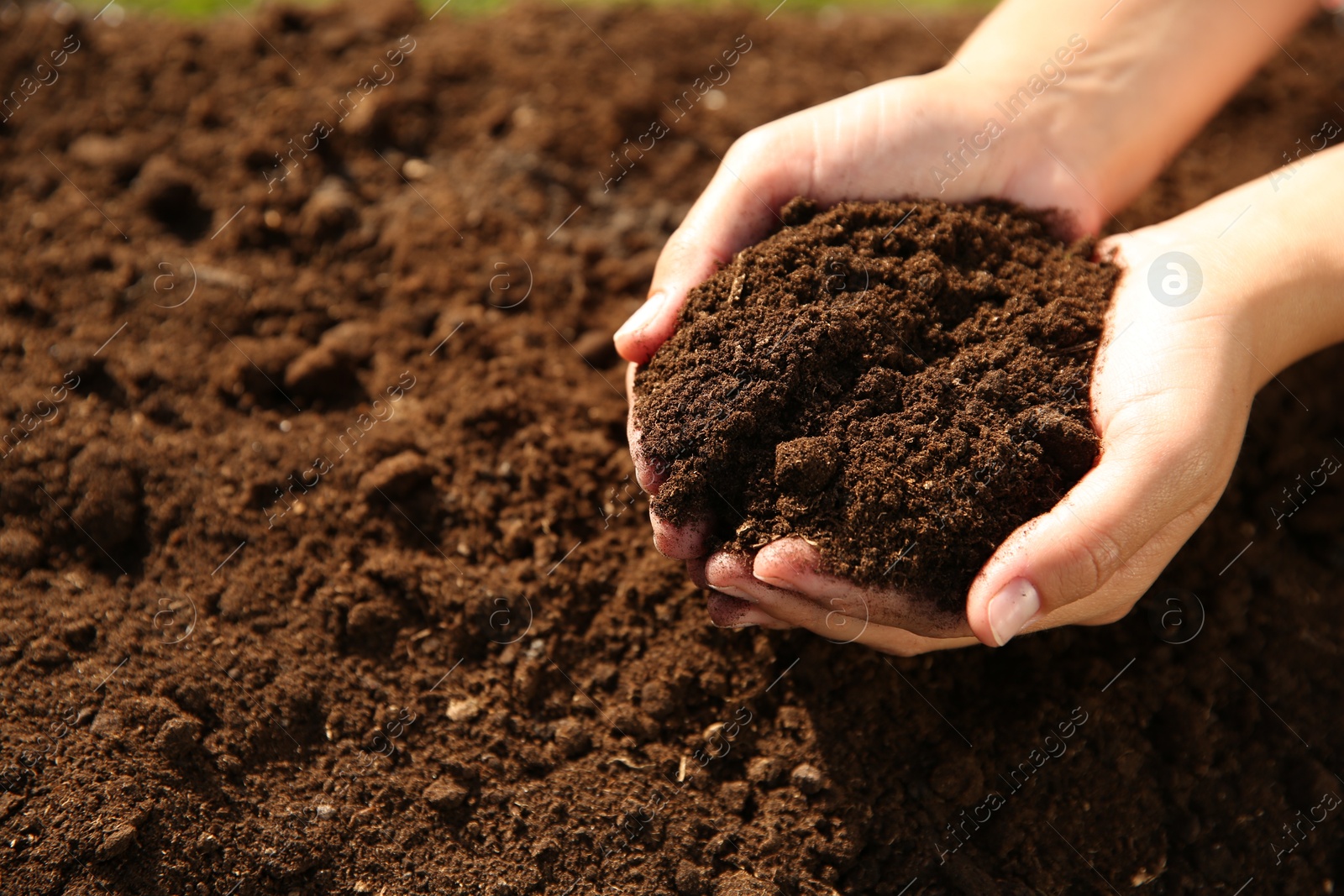 Photo of Woman holding pile of soil outdoors, closeup. Space for text