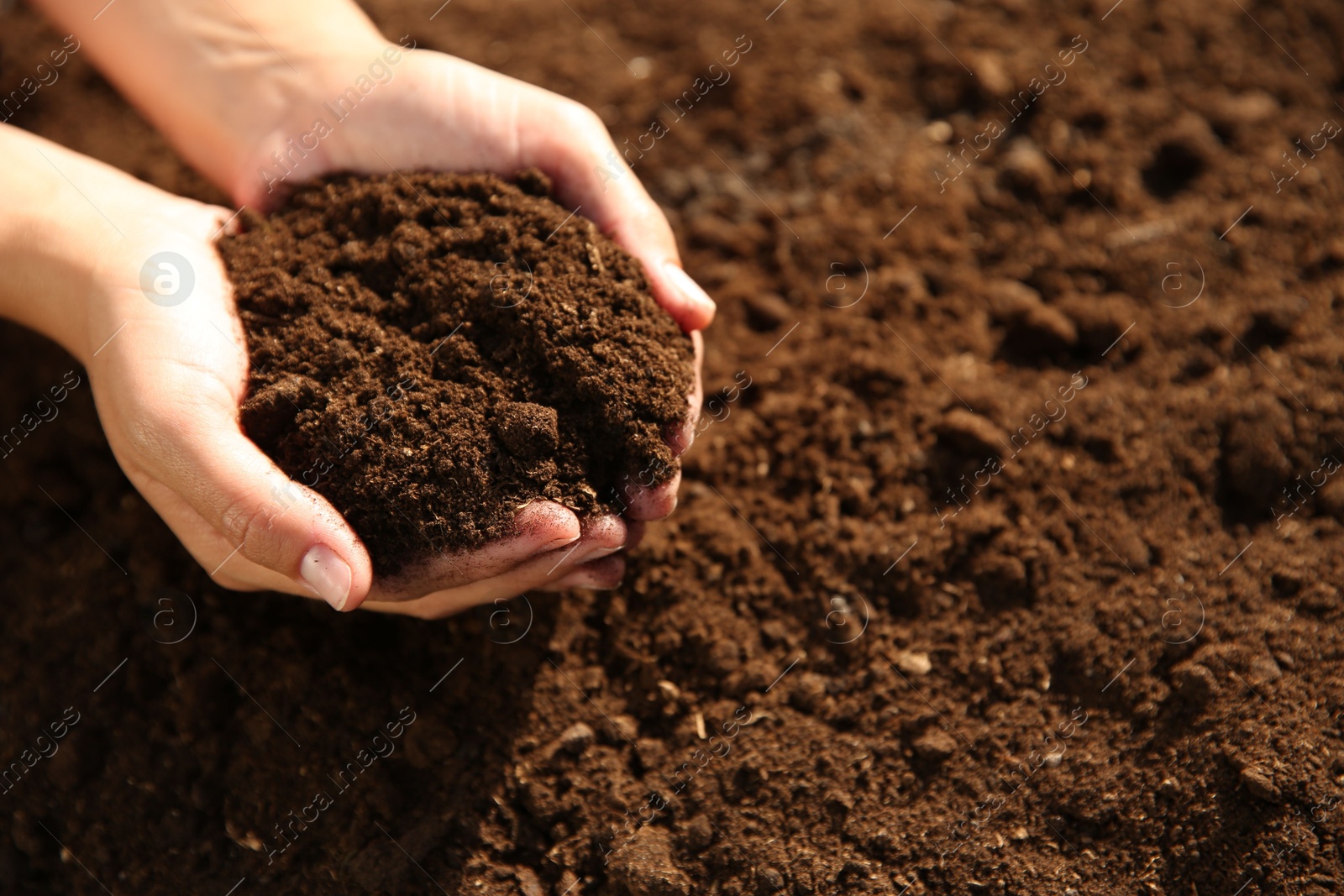 Photo of Woman holding pile of soil outdoors, closeup. Space for text