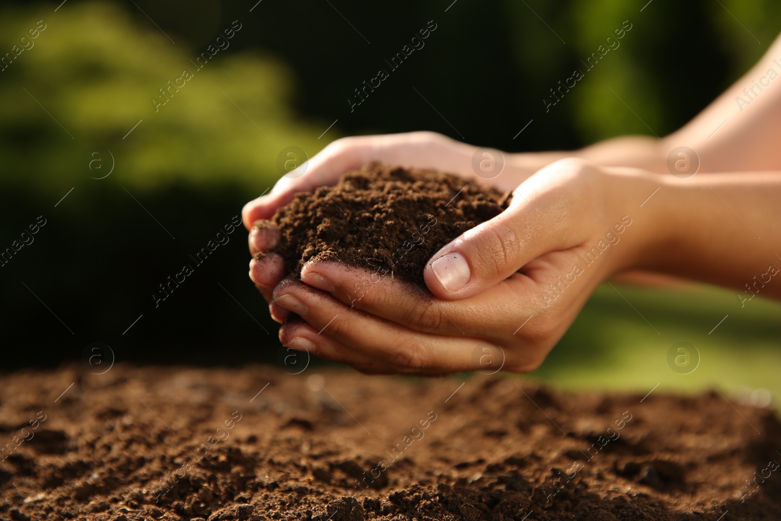 Photo of Woman holding pile of soil outdoors, closeup. Space for text