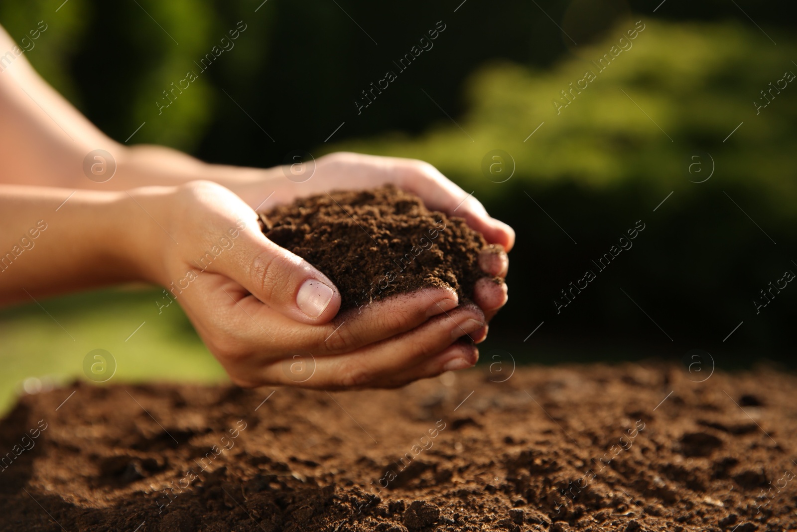 Photo of Woman holding pile of soil outdoors, closeup. Space for text