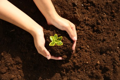 Photo of Woman holding seedling with soil outdoors, top view. Space for text