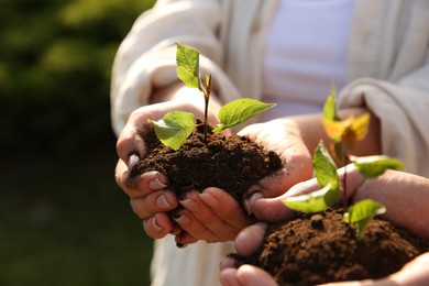 Photo of Couple holding seedlings with soil outdoors, closeup