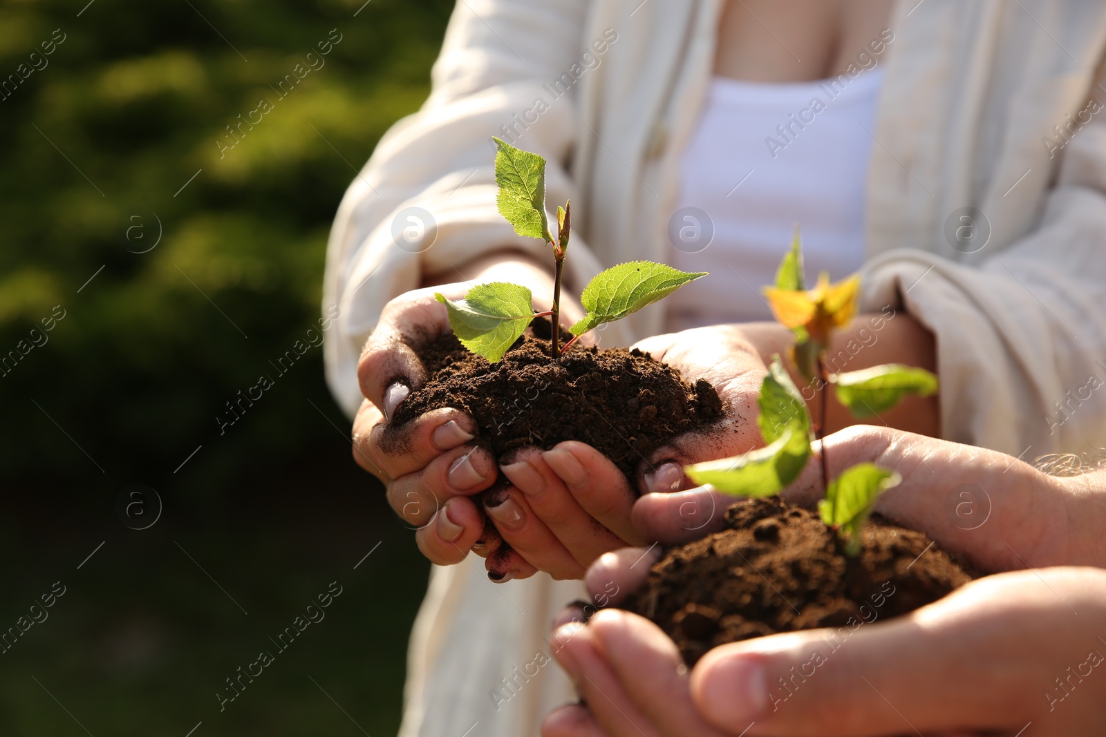 Photo of Couple holding seedlings with soil outdoors, closeup