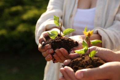 Photo of Couple holding seedlings with soil outdoors, closeup