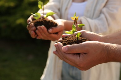 Couple holding seedlings with soil outdoors, closeup