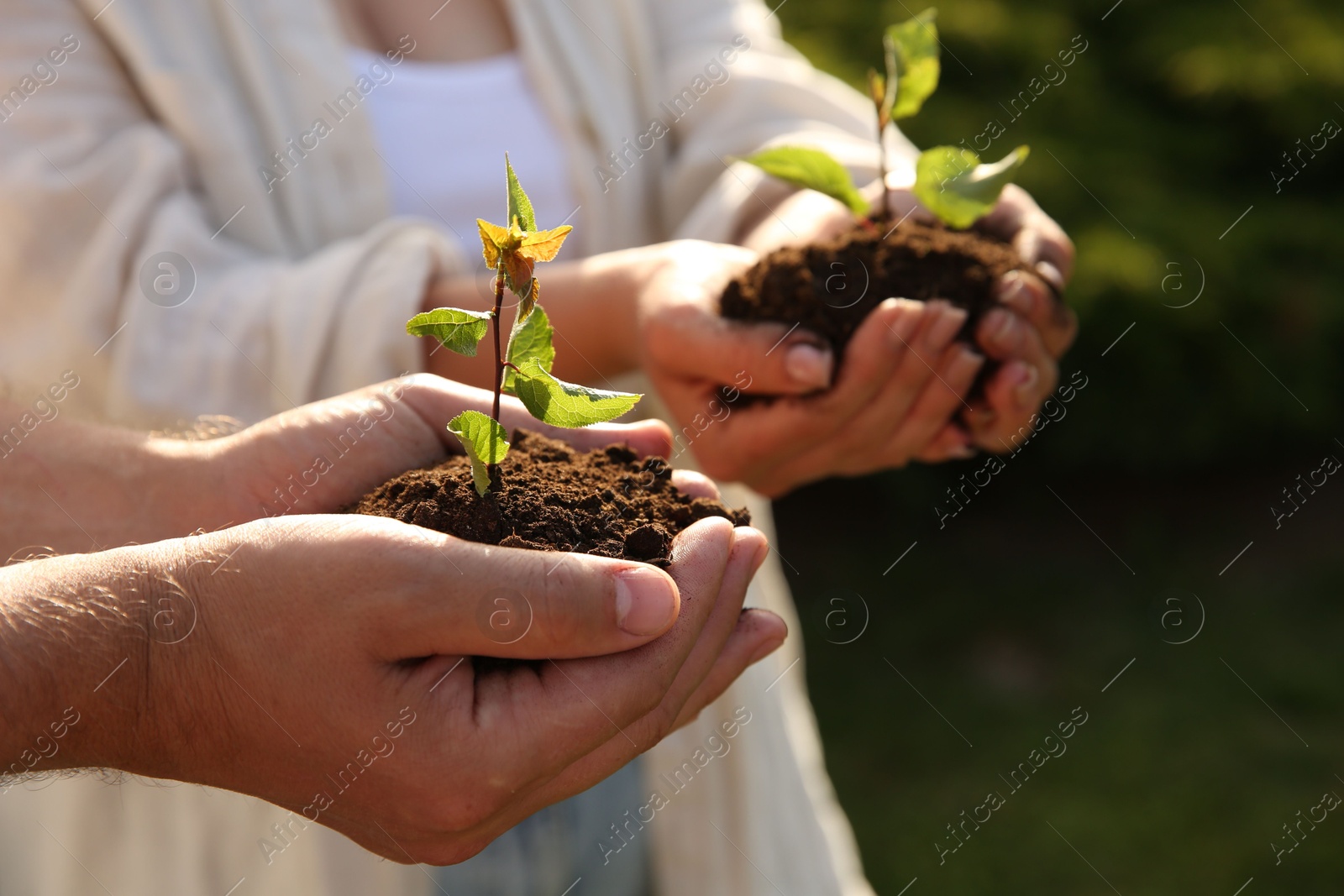 Photo of Couple holding seedlings with soil outdoors, closeup